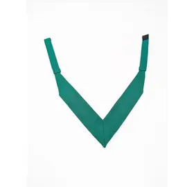 Allied Masonic Degrees - Holders of Oversees Rank Collarette