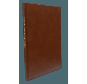 The Hermaphrodite Child of the Sun and Moon