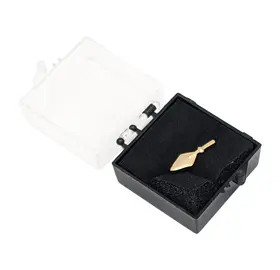 Royal and Select Masters Lapel Pin Badge