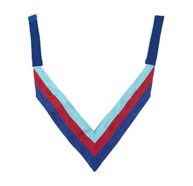 Royal Arch Grand Superintendent Collarette