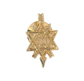 Order of the Secret Monitor - Pin Badge