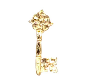 Craft - Treasurer Lapel Pin Badge
