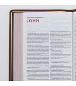 Royal Arch Pedestal Bible, Large Print, Premium Goatskin Leather, Red