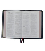 Craft Pedestal Bible, Large Print, Premium Goatskin Leather, Black