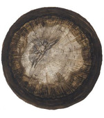 The Pneumo-Cosmic Manuscript. MS Ferguson 115 in Glasgow University Library;