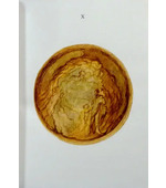 The Pneumo-Cosmic Manuscript. MS Ferguson 115 in Glasgow University Library;