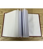 Rose Croix Minute Book (Skeleton Style With Guards)